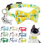 Jolie cravate nœud personnalisée collier chaton avec nom de cloche étiquette boucle de sécurité