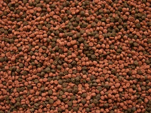  250ml Cichliden MIX Pellet Cichliden Diskus granulat Fischfutter Aquarium - Bild 1 von 1