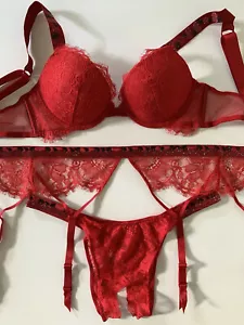 Victoria's Secret Shine Strap Lace Push Up Bra Panty & Garter 3 pc Set Red - Picture 1 of 24