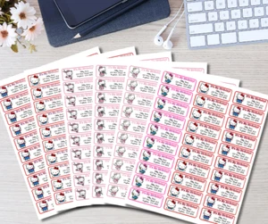 Hello Kitty | 30 Personalized Address Labels Stickers | Invitations | Thank You - Picture 1 of 14