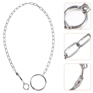 Edelstahl Fußkettchen Papagei Training Fuß Kette Leine für Vogel - Bild 1 von 12