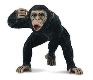 COLLECTA ANIMALI SELVAGGI SCIMPANZE' CHIMPANZEE MALE 88492 WILD LIFE - Picture 1 of 1