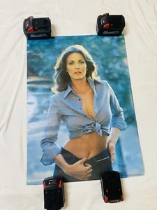 NOS 1978 LYNDA CARTER POSTER PIN UP WOMAN 20x28 Pro Arts Nuovo Vecchio Stock - Foto 1 di 4