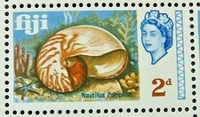 FIJI 1968 SG373 QEII 2d. CHAMBERED OR PEARLY NAUTILUS - MNH