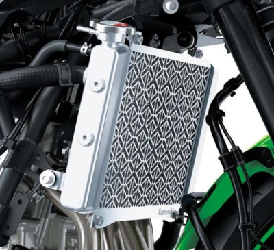 Protector de pantalla de radiador genuino OEM Kawasaki Ninja ZX-4RR KRT 99994-1887 Foto 1 de 2