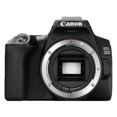 Canon EOS 250D 24.2MP 4K Digital SLR Camera Body - image 1 of 4