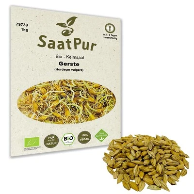 1kg BIO Keimsaat für Sprossen Gerste Samen Keimsprossen Microgreens Vegan Öko - Bild 1 von 4
