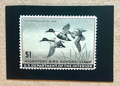 U.S. #RW12 VF NH Catalog $100.00 - Image 1 of 2