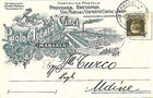 09556 - CARTOLINA d