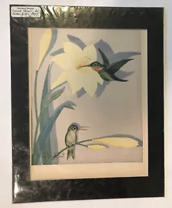 Antiker Quellenfarn Bisel Torf Kolibri signiert Farbdruck 1931 - Bild 1 von 3