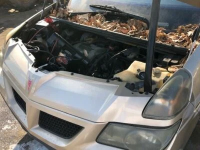 Motor limpiaparabrisas compatible con 02-07 RENDEZVOUS 228416 Foto 1 de 4