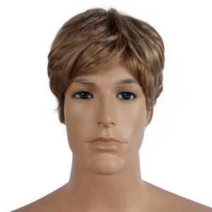 Short Hair With Side Paart Bargain Wig - Picture 1 of 1