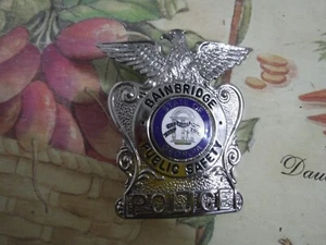 Vtg Obsolete Georgia Bainbridge safety police Pin Badge Metal Hat Uniform - Picture 1 of 2