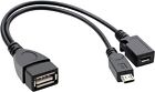 Pour Amazon Firestick 4K - 2-en-1 adaptateur micro USB OTG séparateur de câble d'alimentation disque dur
