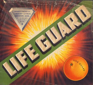 *Original* LIFE GUARD *RARE* LINDSAY Orange Crate Label NOT A COPY - Picture 1 of 2