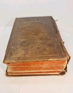 Antique Book 1859 - A Copious and Critical Latin-English Lexicon by E. A.... - Picture 1 of 19