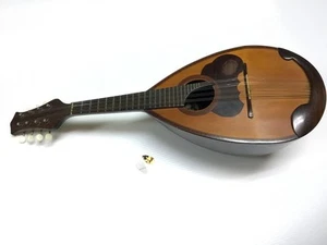Suzuki Mandolin - Picture 1 of 4