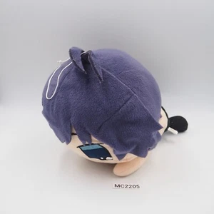 Puchimas! Muñeca de peluche Petit Idolmaster MC2205 Makochi Banpresto 2015 10" Japón - Imagen 1 de 9