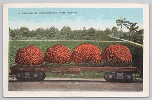 A Carload of Giant Strawberries Florida Vtg Postcard Railroad Flatbed Car - Picture 1 of 2