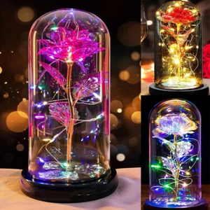 Glass Rose Mothers Day Flower Gifts for Mom Light Up Rose for Women Grandma Wife - Picture 1 of 17