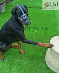 Strong Metal Rubber coated Wire Basket Dog Muzzle for Doberman Malinois other - Picture 1 of 10