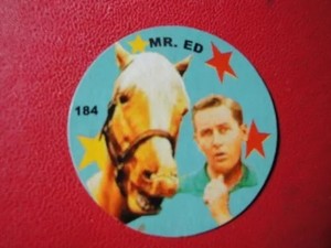 Mister Ed TV Series Wilbur Post  Alan Young CARD Very Rare ARGENTINA