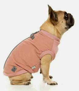 shirts for pugs