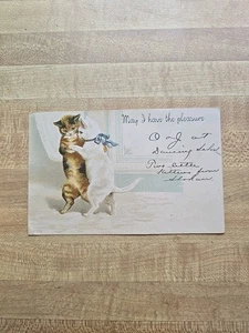 Vintage Katzen Möge ich das Vergnügen haben Postkarte 876 geprägt verschickt 1905 Atlantic City - Bild 1 von 6