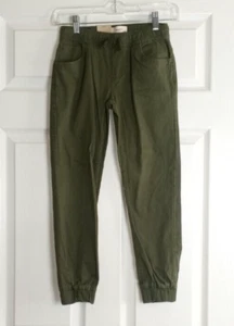 Levi's Boy's Youth Green Pull On Joggers Size 8R Inseam 20" - Picture 1 of 5