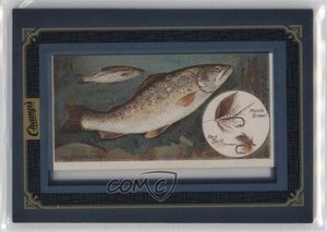 2015-16 Upper Deck Champs Framed Tobacco Buybacks: Fish The Brown Trout #12