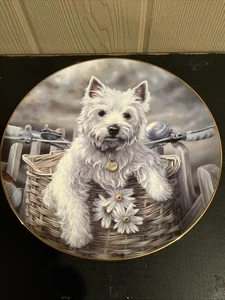 Westminster weiß Westie Hund Danbury neuwertig Platte Anhängerkupplung eine Fahrt 8,25" - Bild 1 von 10