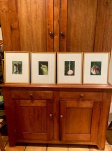 Set of 4 Original Photographs FOR KITCHEN signed and matted Eggplant Radish etc - Picture 1 of 10