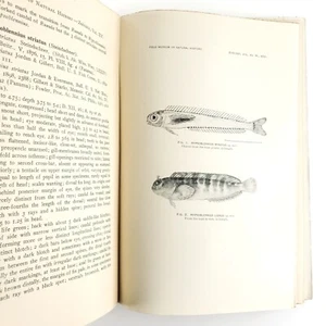 Illustrated Panama Marine Fishes Book 1920s Chicago Field Museum Bookplates B452 - Picture 1 of 13