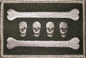 CITY OF CHICAGO SKULL & BONES FLAG PATCH: Grey - Picture 1 of 1