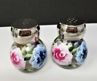 Salt & Pepper Glass Shaker Set Multi Colored Roses & Buds Hand Painted by Lia