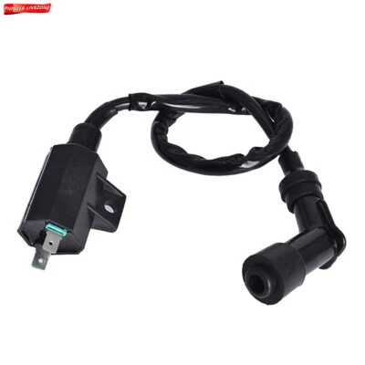 Bobina de encendido negra 2x4 2002-2012 para Suzuki Ozark 250 LTF250 Foto 1 de 4