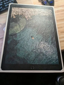 Apple iPad Pro Model A1584 256GB, Wi-Fi , 12,9 Zoll - Grau - Bild 1 von 12