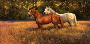 Bonnie Marris SUMMER FIELDS Giclée Leinwand, Pferde #75/75 - Bild 1 von 1