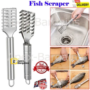 1/20 Stück Fischschuppen Schaber Entkalker Reiniger Schäler Entferner Haut Küche Meeresfrüchte - Bild 1 von 12
