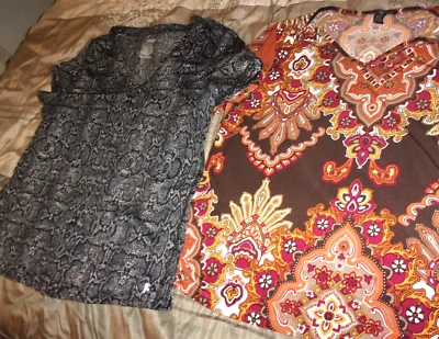 JUEGO DE 2 CAMISAS DE VERANO PARA MUJER - DANSKIN - ZENA - XL 16-18 - MULTICOLOR Foto 1 de 4