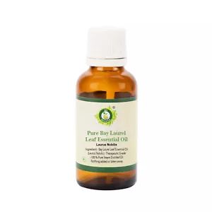 Olio essenziale di alloro foglia di alloro pura Laurus nobilis distillato non tagliato naturale - Foto 1 di 30