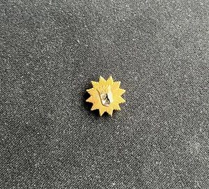 Selten! Pin Anstecker Abzeichen POLIZEI BERLIN Wappen Berliner Bär Polizeistern - Bild 1 von 4