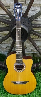 D´Angelico Klassische Westerngitarre - Bild 1 von 4