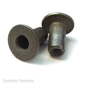 Tuercas remachables de cabeza extra grande de acero métrico para láminas de plástico/fibra de vidrio M5, M6 - Imagen 1 de 1
