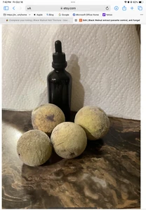 Black Walnut Hull Tincture - black walnut hull extract -parasite cleanse - Picture 1 of 1
