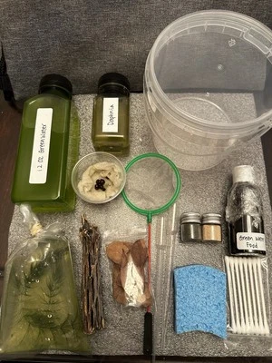 Kit Completo de Cultivo 300+ Daphnia Magna/Moina Ideal para Betta y Bebé Axolotl Foto 1 de 2