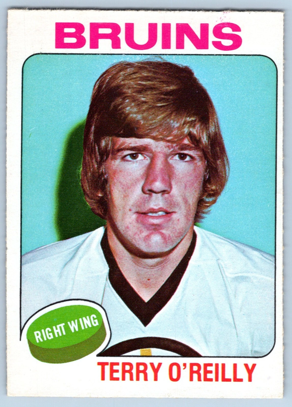 TERRY O'REILLY 1975-76 O-PEE-CHEE 75-76 NO 301 NRMINT+           50493