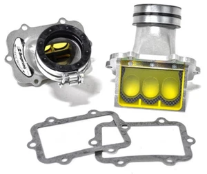 Rage Cage Reed System for Snowmobile SKI-DOO 600 SDI (xp chassis) 2008 RAD86E-2 - Picture 1 of 3