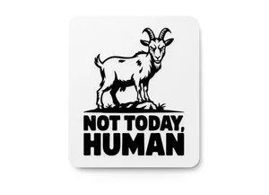 Not Today Human | Funny sign For Home or Office - Picture 1 of 4