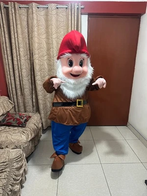 Costume mascotte personaggio nano adulto corpo intero cosplay outfit - Immagine 1 di 4